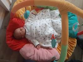 louis